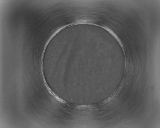 X0000082201341200702170008