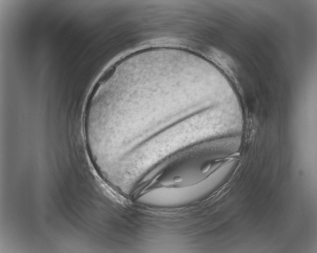 X0000082201342200702170008