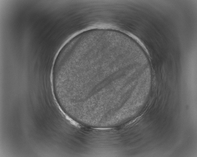 X0000082201343200702170008