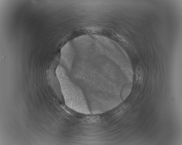 X0000082201346200702170008