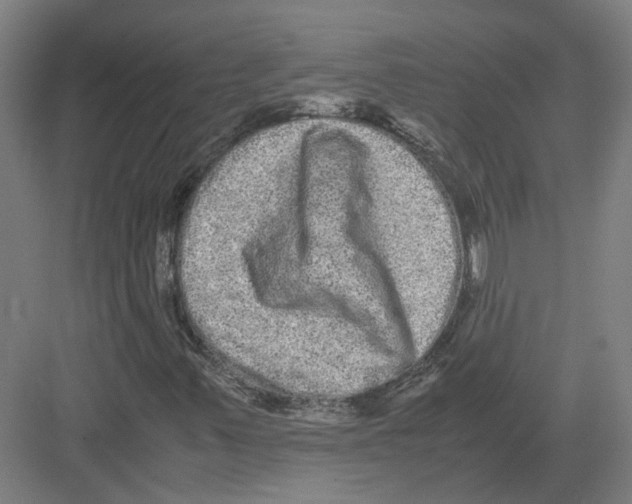 X0000082201347200702170008