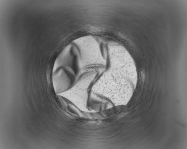 X0000082201348200702170008