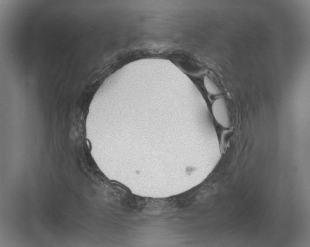 X0000082201349200702170007