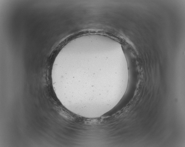 X0000082201352200702170007