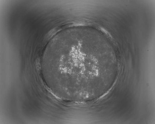 X0000082201353200702170007