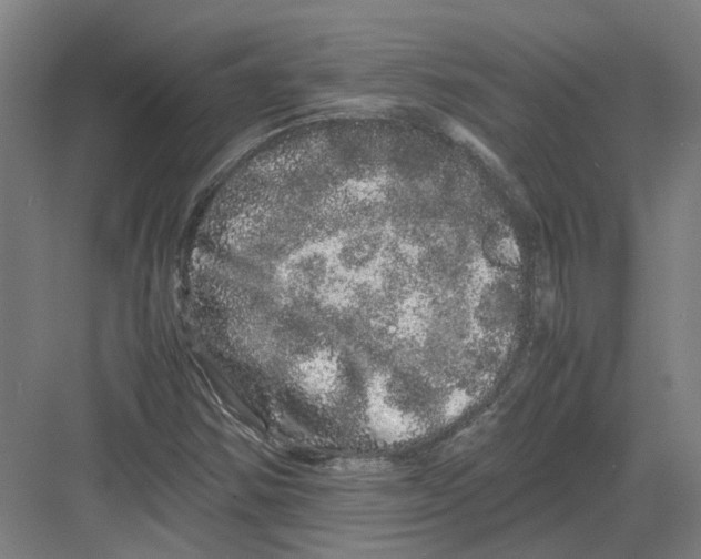 X0000082201354200702170007