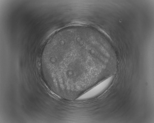 X0000082201355200702170007