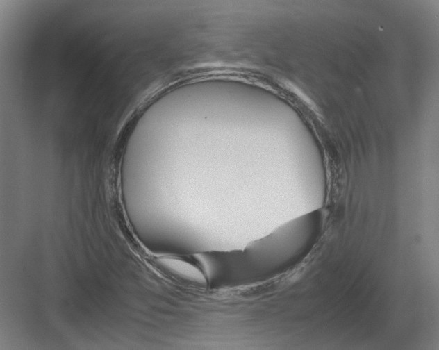 X0000082201357200702170007