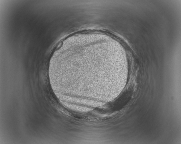 X0000082201359200702170007