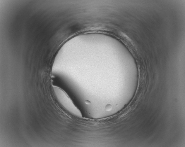 X0000082201361200702170007