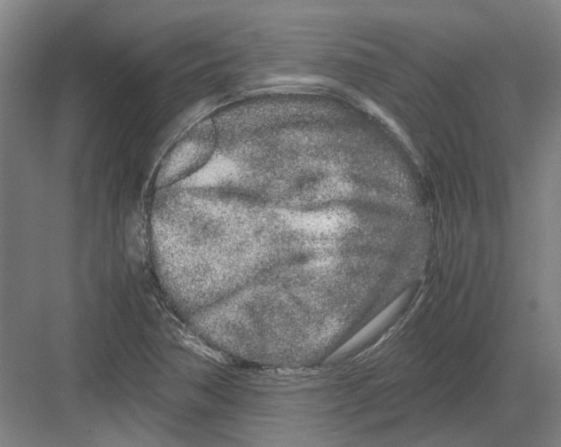 X0000082201362200702170007