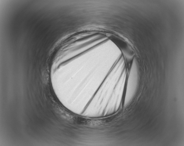 X0000082201363200702170007