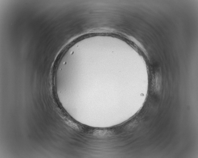 X0000082201364200702170007