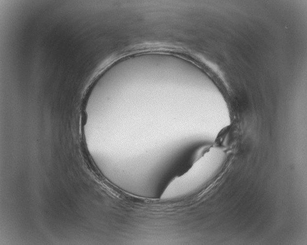 X0000082201365200702170007