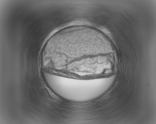 X0000082201366200702170007