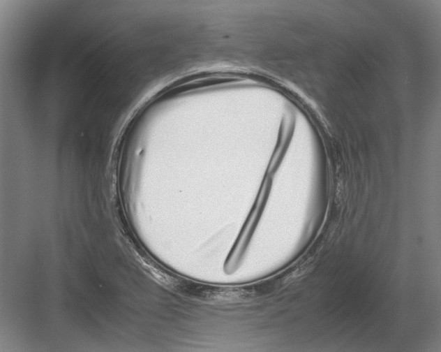 X0000082201367200702170007