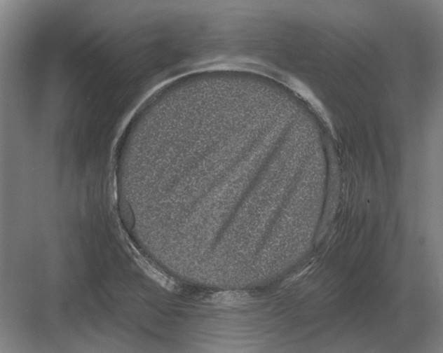 X0000082201368200702170007