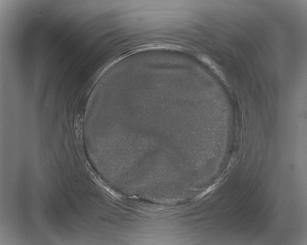 X0000082201369200702170007