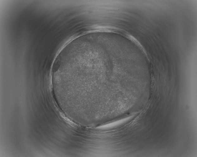 X0000082201370200702170007