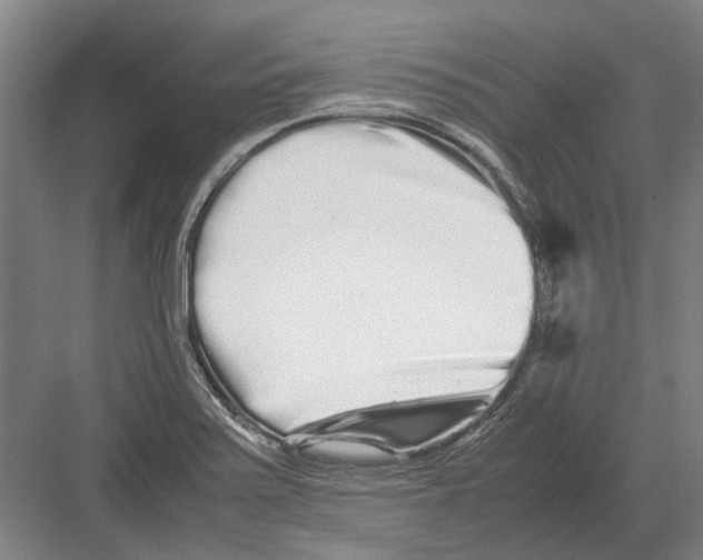 X0000082201371200702170007