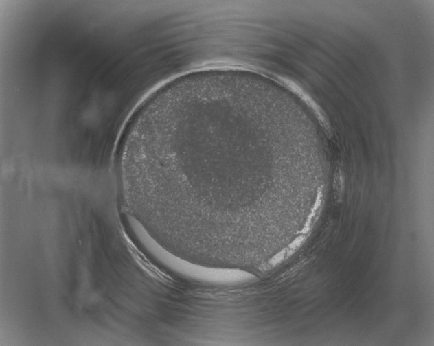 X0000082201372200702170007