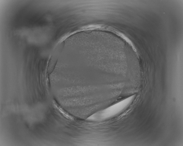 X0000082201373200702170007