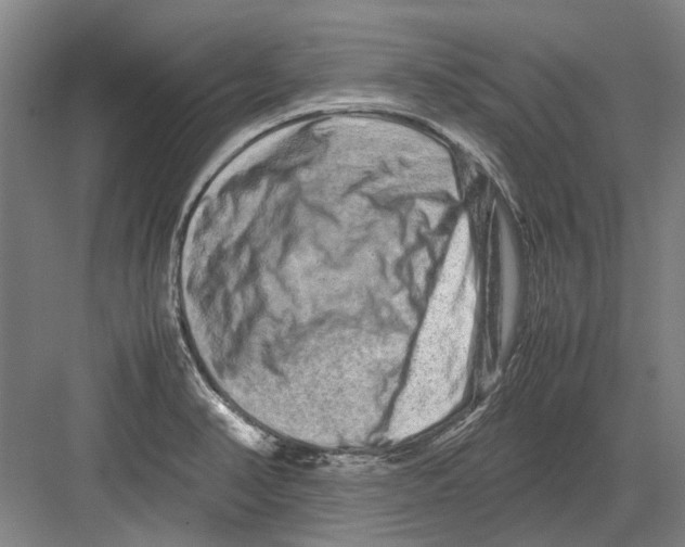 X0000082201374200702170007