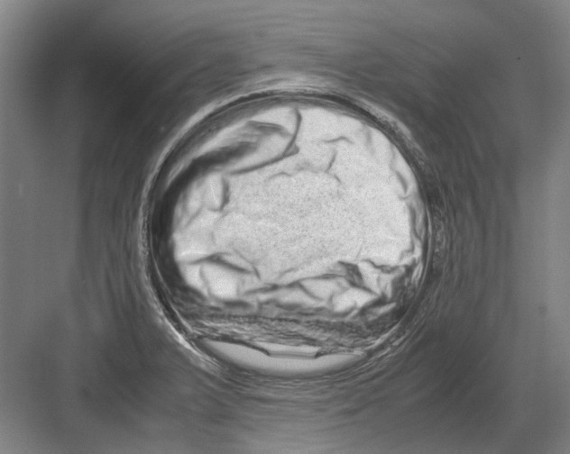 X0000082201375200702170007