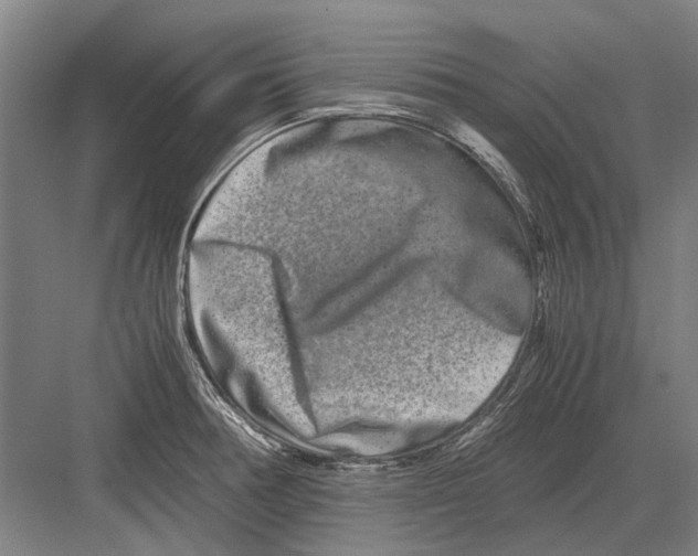 X0000082201378200702170007