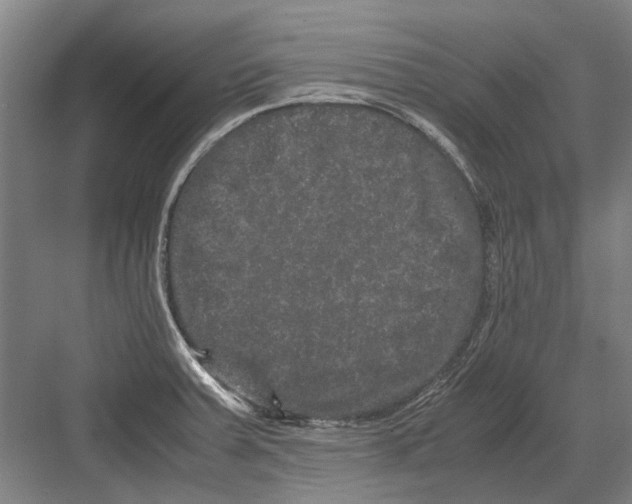 X0000082201379200702170007