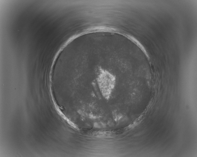 X0000082201381200702170007