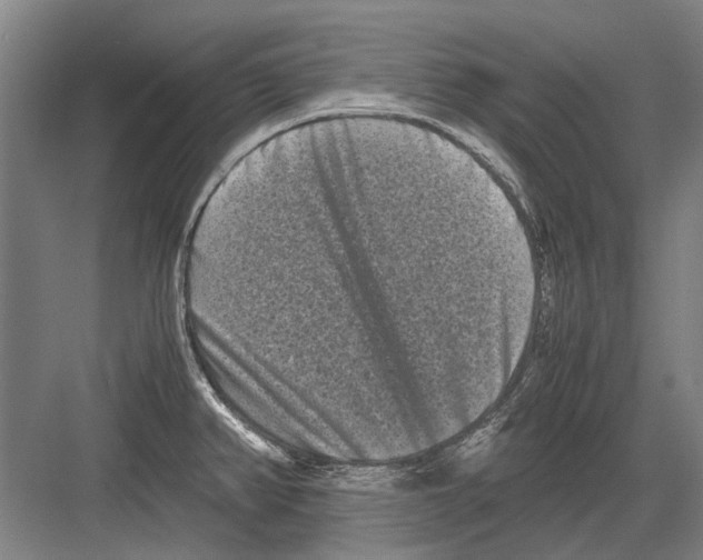 X0000082201382200702170007