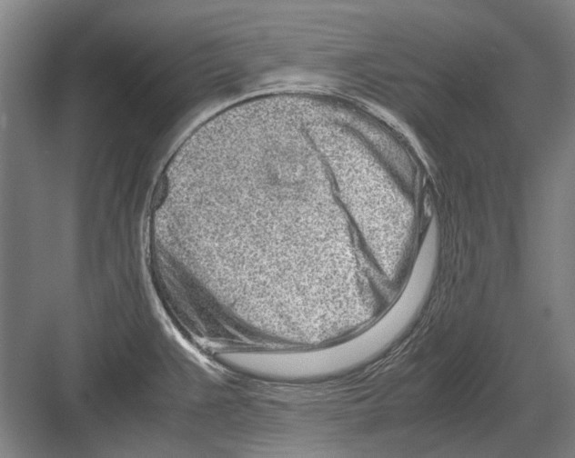 X0000082201383200702170007