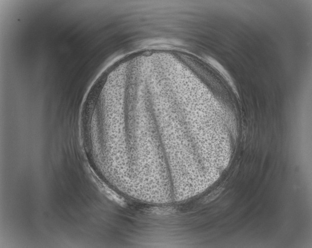 X0000082201384200702170007