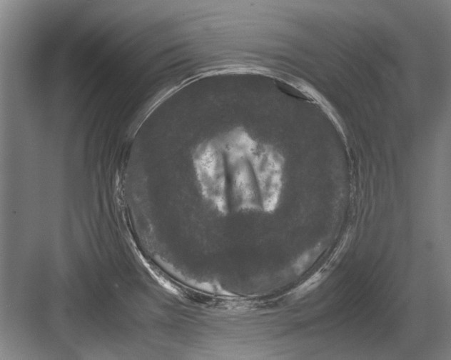 X0000082201385200702170007