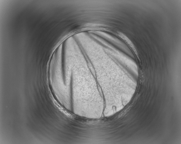 X0000082201386200702170007