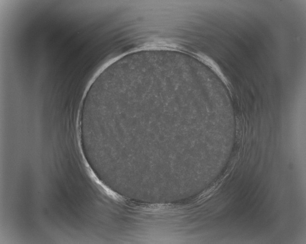 X0000082201387200702170007