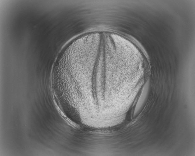 X0000082201388200702170007