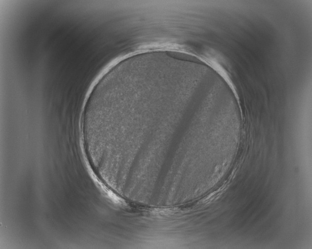 X0000082201389200702170007