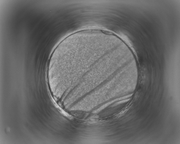 X0000082201390200702170007