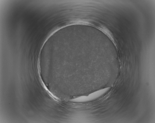 X0000082201391200702170007