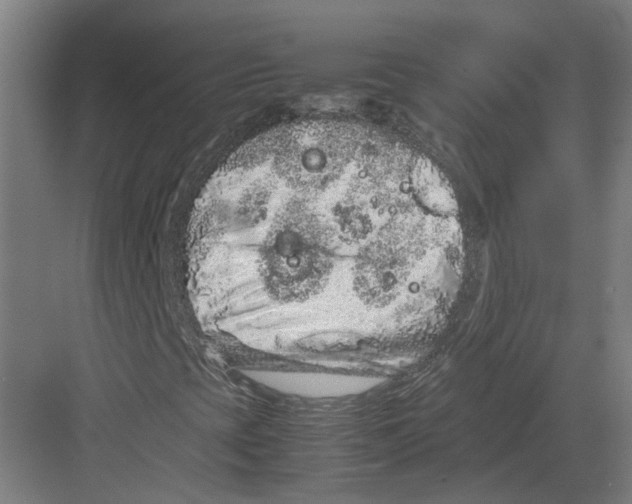 X0000082201393200702170006