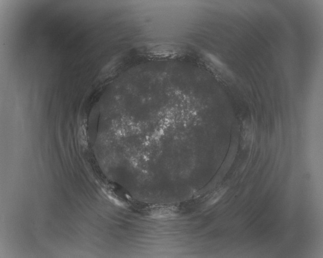 X0000082201394200702170006