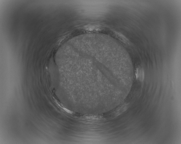 X0000082201396200702170006