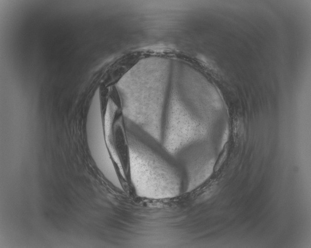 X0000082201398200702170006