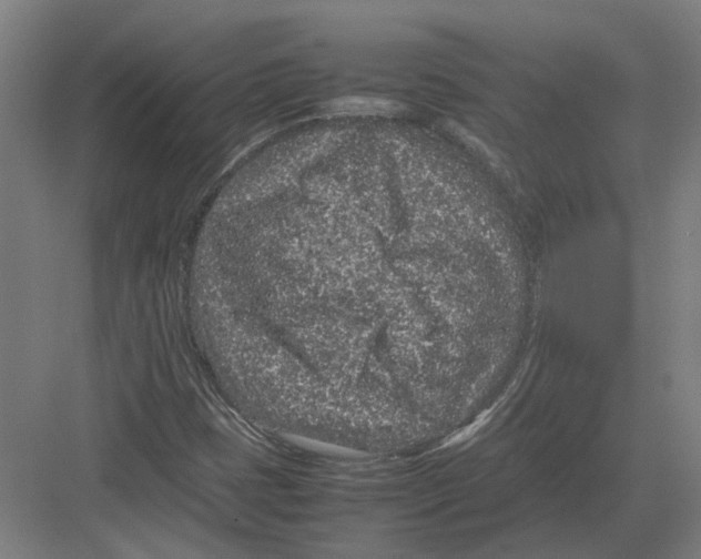 X0000082201401200702170006