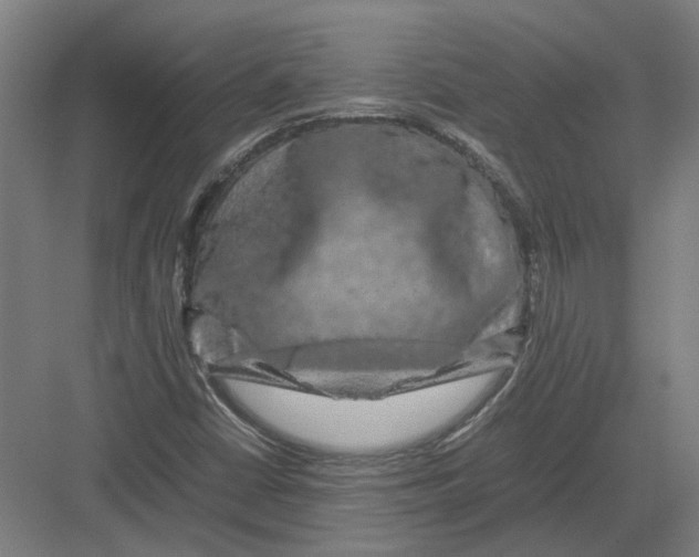 X0000082201402200702170006