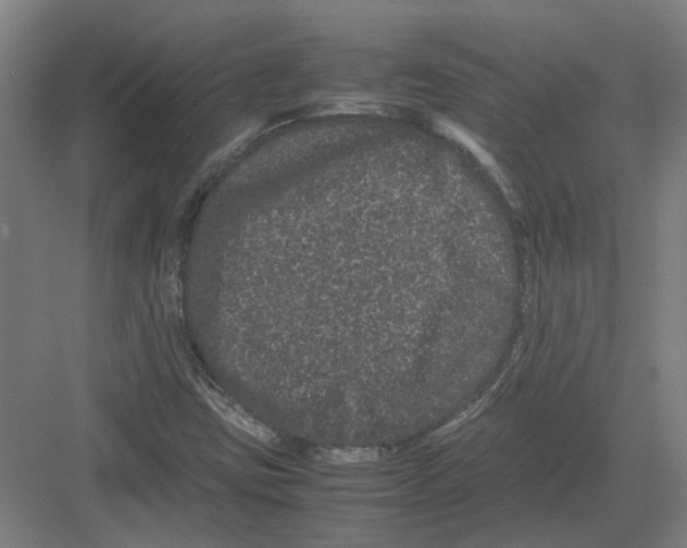 X0000082201403200702170006