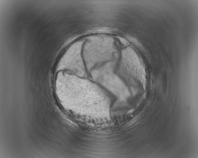 X0000082201404200702170006