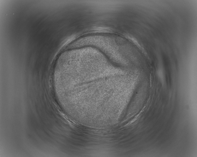 X0000082201405200702170006